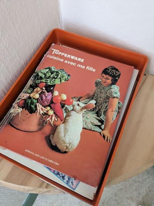 L'Appartement Vintage Issoire Ngoại thất bức ảnh